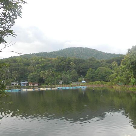 ZaMaRaYa Bed&Breakfast Angamaly Exterior foto